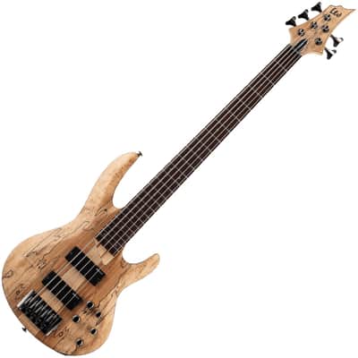ESP LTD B-205SM 5-String Bass Spalted Maple Natural Satin LB205SMNS image 2