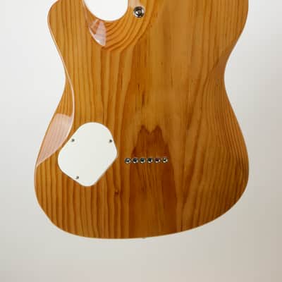 Bruce Guitars - "The Ellary" deluxe, surf green , Gemini pickups image 9