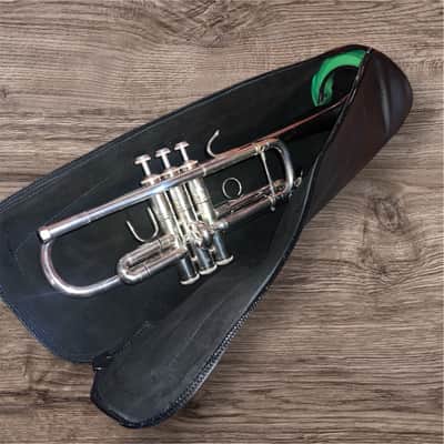 Leather Trumpet Sleeve Insert image 4