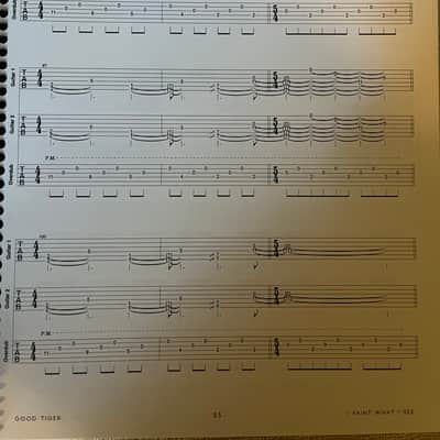 Good Tiger - A Head Full of Moonlight - Guitar tab / Tablature Book image 4