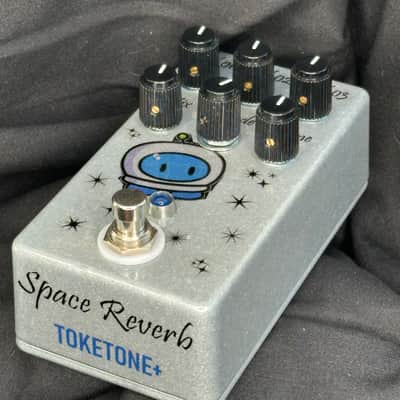 Toketone + Hand made EQD Space Reverb 2025 - Metallic silver image 2