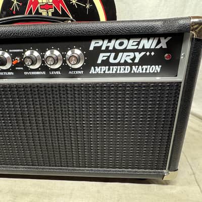 Amplified Nation PF 50W Phoenix Fury 50 Watt Tube Guitar Amplifier Head 2025 - Local Pickup Only image 4