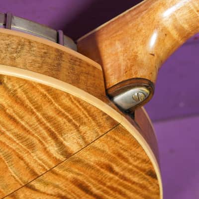 1925 Weymann Style 150 Resonator 5-String Banjo (VIDEO! Fresh Work, Ready) image 13