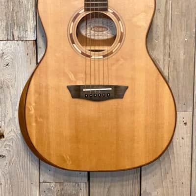 Sweet New Washburn WCG10SENS Acoustic/Electric Guitar, Help Support Small Business & Buy It Here image 4