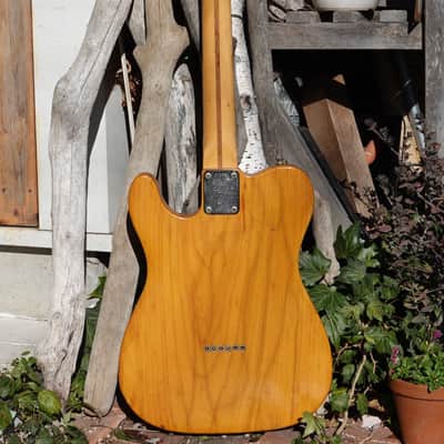 1972 Fender Telecaster with Maple Fretboard image 11