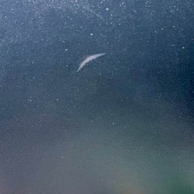Yamaha HS5 5” Powered Studio Monitor (Single) image 3