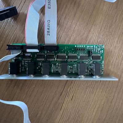 Make Noise Brains Sn# 102 Module black and gold eurorack image 9