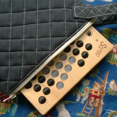 Striso board 2022 image 4