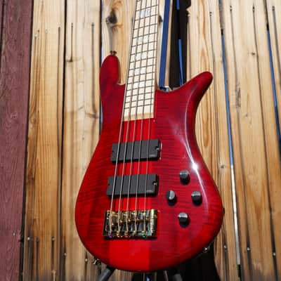 Spector Euro 5 LX Maple Fingerboard – Black Cherry Gloss 5-String Electric Bass Guitar image 7