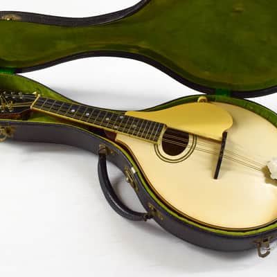 Gibson A-3 Mandolin 1919 - Ivory image 5