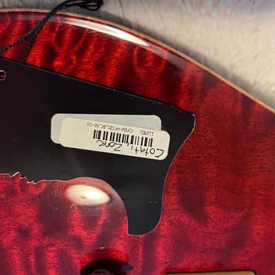 PRS 20th Anniversary 2005 Custom 22 image 4