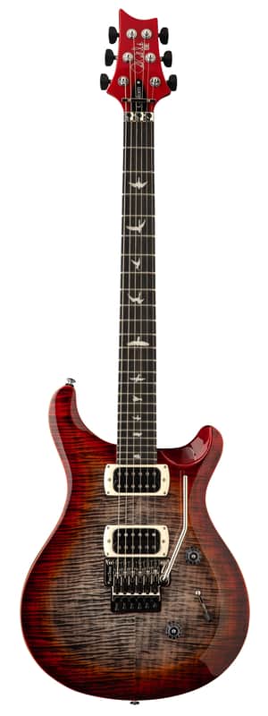 PRS SE Floyd Custom 24 (2017 - Present) | Reverb Canada