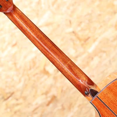 Naga Guitars S-60GAC image 7
