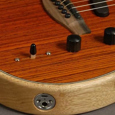 American Acoustasonic Telecaster limited Exotic Cocobolo 2019 - 2020 - Natural image 5