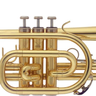 STAGG Bb Cornet In ABS Case: Clear Lacquer Finish, Perfect For Students 2 Year Warranty image 2