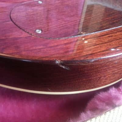 Washburn Falcon 1979 Chocolate Burst image 9
