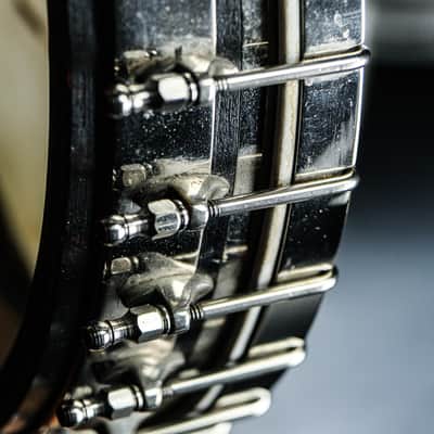 1924 Vega Whyte Laydie 6-string Banjo image 7
