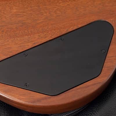 Gibson SG Tribute Natural Walnut + Saco image 9