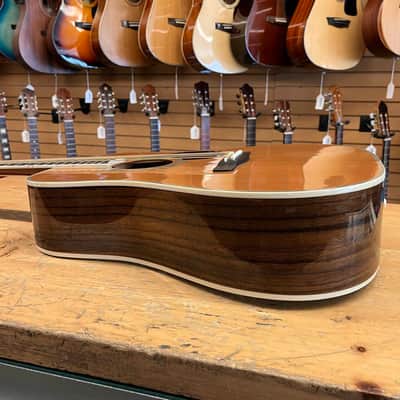 Greg Bennett by Samick D-7 Dreadnought Acoustic Guitar image 7