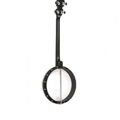 BANJO 4 Cordes GOLD TONE AC-4 IT - acoustique Irish Ténor open back image 6