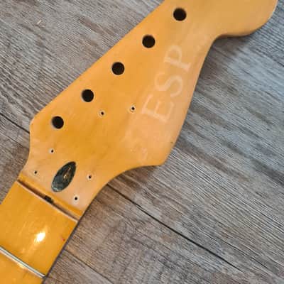 Very rare ESP Craft House Stratocaster neck 1980s image 2