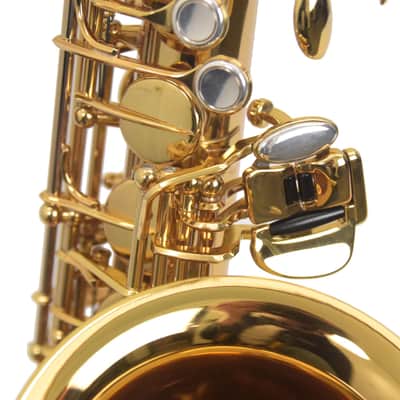 Eastman EAS850 Rue Saint-Georges Alto Saxophone - Lacquer image 5