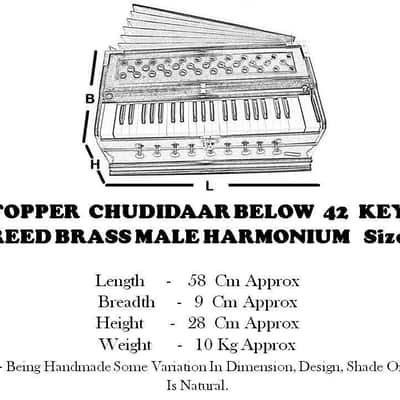 Harmonium 9 Stopper Chudidaar Indian Style Best Bellow 42 Key Two Reed Bass-Male image 7