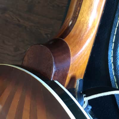 Eko Banjo Guitar Banjitar Made In Italy image 5