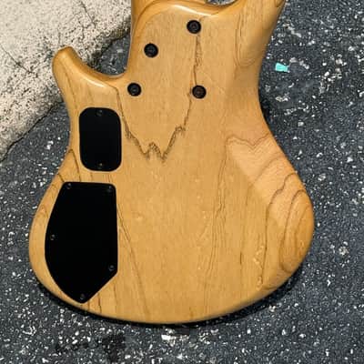 Roscoe Custom Century 6-String Bass 2006 - owned & enjoyed by Florida Legend Jeff Carswell ! image 4