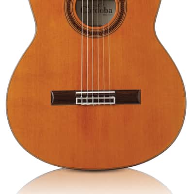 Cordoba C7 Cedar Classical Guitar with Cordoba Polyfoam Case - Solid Cedar top image 2