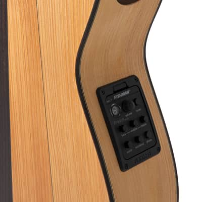 Manuel Rodriguez Signature Legacy Maestro Flamenco FF Sabicas Boca Spruce/Cypress 4/4 Size Cutaway 6-String Classical Acoustic-Electric Guitar w/Luxury Case image 13