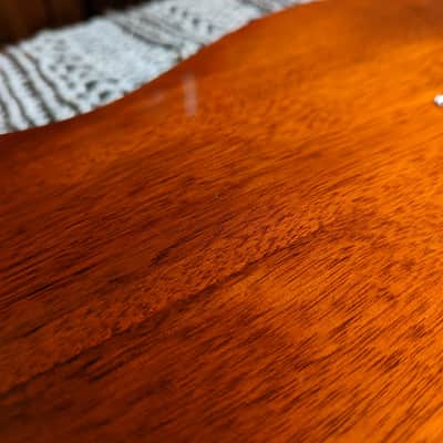 Fender Partscaster Telecaster Thinline Roasted Maple Neck Mahogany Semi-Hollow w/ Fralin Pickups image 14