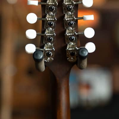 Eastman MD304 Spruce/Maple A-Style Oval Hole Mandolin #4581 image 8