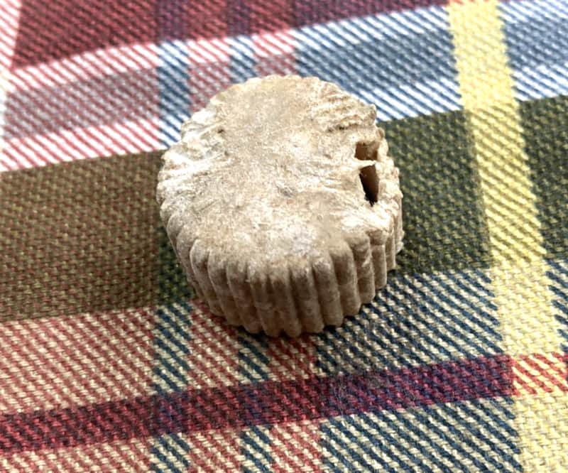 Vintage 1950s Beat-Up Relic Harmony/Silvertone Cupcake Guitar Knob image 1