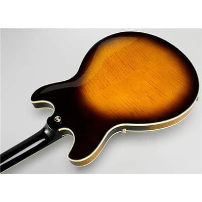Ibanez John Scofield Signature JSM100 Hollow-Body Electric Guitar, Bound Ebony Fretboard, Vintage Sunburst image 2