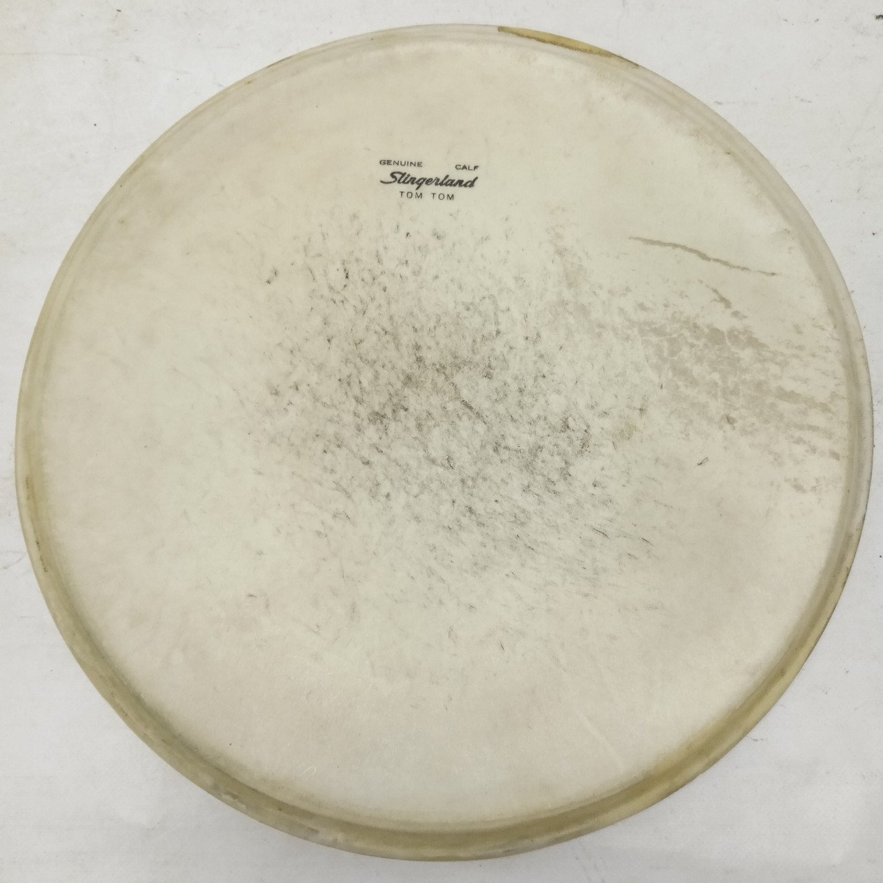Slingerland 13" Genuine Calf Tom Tom Drum Head Batter/Resonant Vintage Skin 50s — main photograph