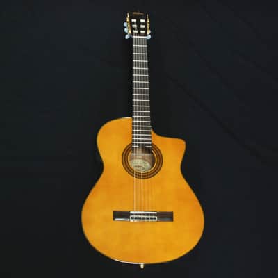 Washburn C64SCE Classical with Electronics Natural