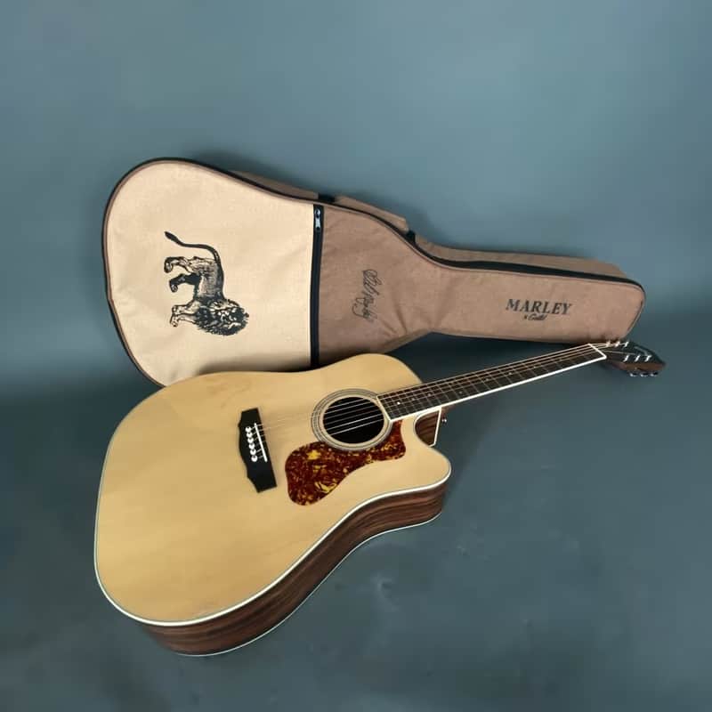 Guild D-260CE Deluxe Fishman PU cutaway Bob Marley Bag natur