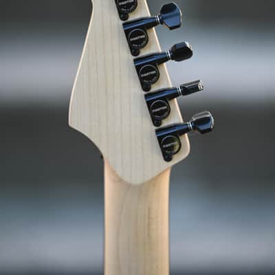 Charvel Custom Shop USA Special Edition SO Cal - Zebra image 16