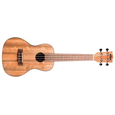 Pacific Walnut Concert Kala image 2