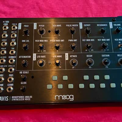 Moog Mavis - *VERY GOOD!!!* image 1