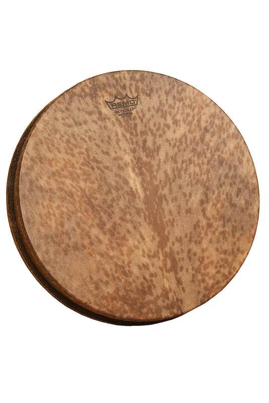 Remo Drum Set (MO-2514-SN-0014) image 1