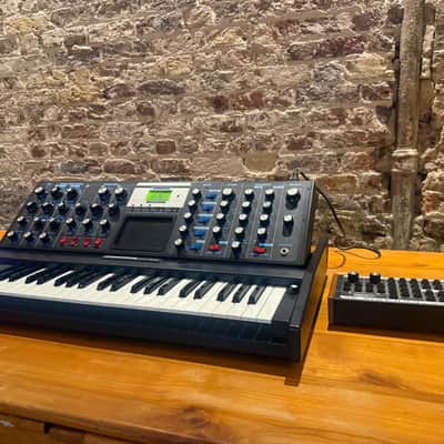 Moog Minimoog Voyager 50th Anniversary Edition 44-Key Synthesizer - Black image 2