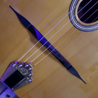 DuPont MD50 Gypsy Jazz Petite Bouche 2014 image 12