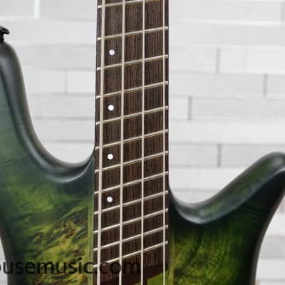 Spector NS Dimension 4 - Haunted Moss image 3
