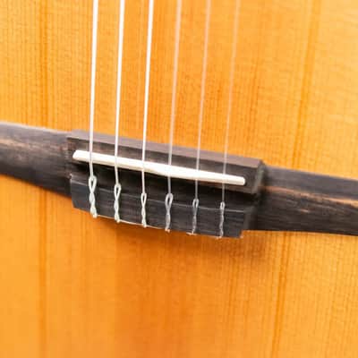 Taylor 212ce-N Plus Nylon Grand Concert Acoustic/Electric Guitar with Aerocase image 12