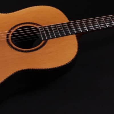 Ovation Folklore Deluxe FD-14 Limited Edition #30 of 50 - 2002 image 5