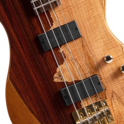 Cort Jeff Berlin Series Rithimic (B Stock) image 3