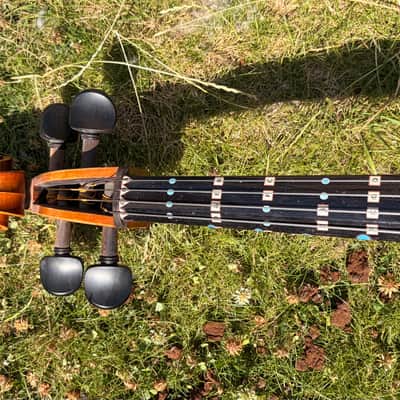 Westbury Eastman cello 4/4 - Hand varnish image 3