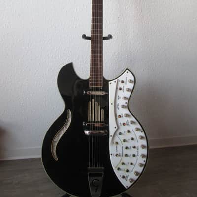 Godwin Organ Guitorgan 1976 black image 2